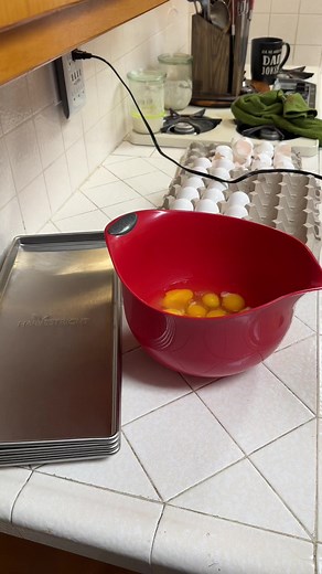 64K views · 875 reactions | Store your eggs for 25+ YEARS!!!#homesteader #freezedried #prepper #preptok #fypシ #beprepared #selfreliance #selfsufficient #preservation #DIY #howto #homesteader #homemade #homesteadlife #prepper #beprepared #homesteadingskills #fromscratchcooking #farmlife #urbanfarm #garden #gardening #prepare #growyourownfood #fallgarden #plants #realfood #howto #purposefulliving #homesteadingmama #preservation #canning #dehydrate #diy | Farmer K Homestead | Facebook