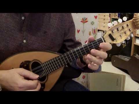 Saranta Palikaria - Greek Folk Song - Mandolin