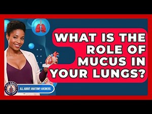 What Is The Role Of Mucus In Your Lungs? - All About Anatomy Answers