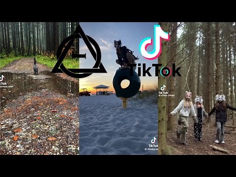 Therian and Quadrobics TikToks || Compilation 🐾🪱🪲|| Alterhumans of TikTok #64
