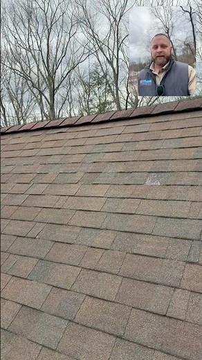 Roof Granule Loss EXPLAINED 🏠⚠️ What Your Shingles Are Telling You!