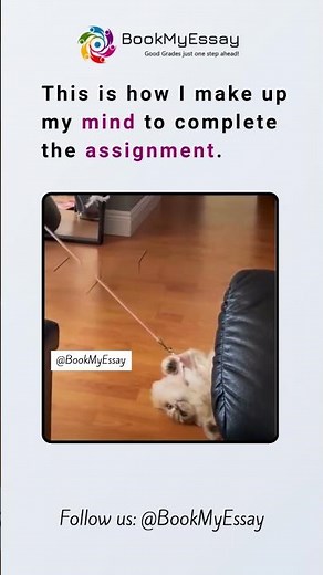 My Mindset to Complete Assignments on Time | Student Struggle