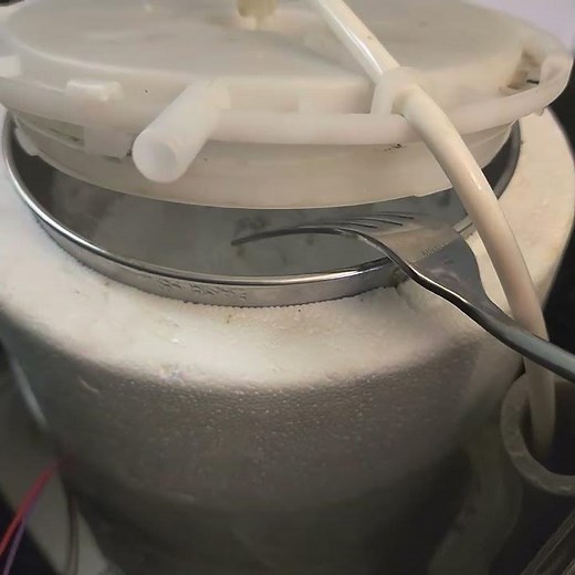 primo water dispenser not working