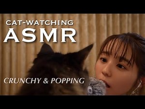 [ASMR] Crackling sounds, cats, and a little chat 🍬🐈💭 (*Viewer discretion advised if you are sensi...