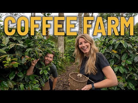 The ULTIMATE SALENTO COFFEE TOUR - we visited a coffee plantation in COLOMBIA