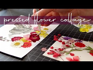 Creating a Framed Pressed Flower Collage