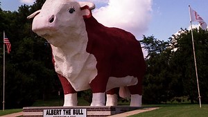 How a small Iowa town and 'Albert the Bull' came to star in a Super Bowl commercial