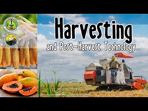 Harvesting and Post-Harvest Technology // Lecture Discussion for BSA 2