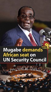 498K views · 18K reactions | Give Africa a permanent seat on the...