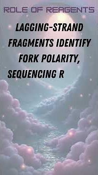 Okazaki Fragment Sequencing (OK-seq)