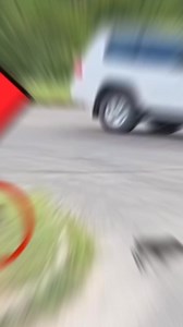 Leopard chasing learns a life lesson#ReelIt #FacebookReels #TrendingReels | Ludwig Movies