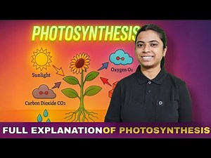🌱 Photosynthesis Explained in 5 Minutes | Easy Science Learning ✨
