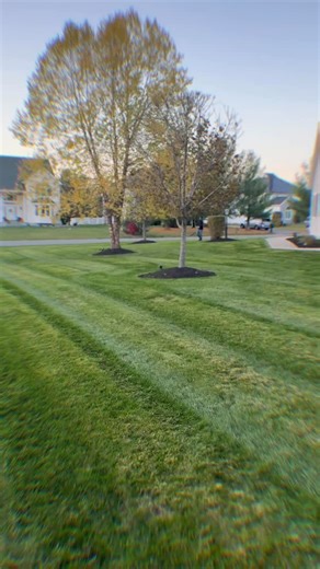  FALL CLEAN-UPS | YouCall WeHaul | Facebook