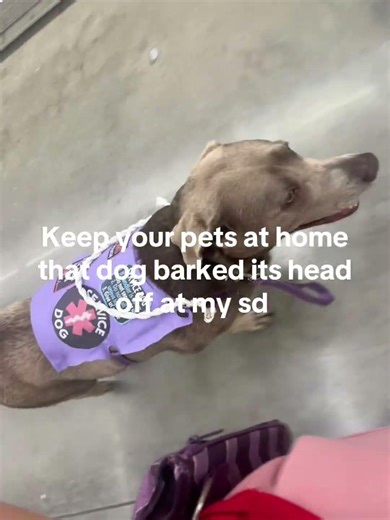 Warmart outing with my service dog