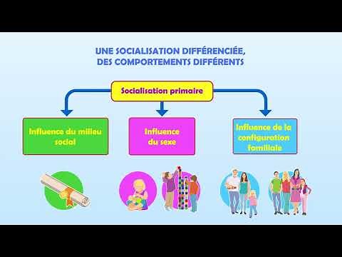 SES 1re - Chapitre 6 : Comment la socialisation contribue-t-elle à expliquer les différences...