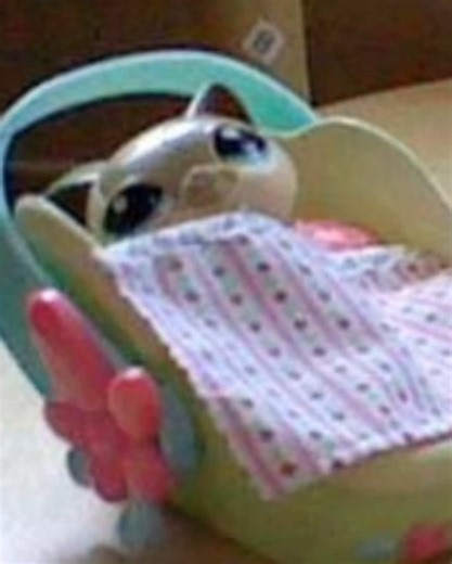 panickedlps on TikTok