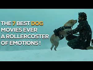 "TOP 7 Must-Watch Movies That Every Dog Lover Should Watch" : Best Dog Movies