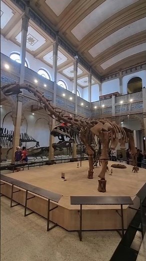 The National Museum of Natural History, in Santiago, Chile