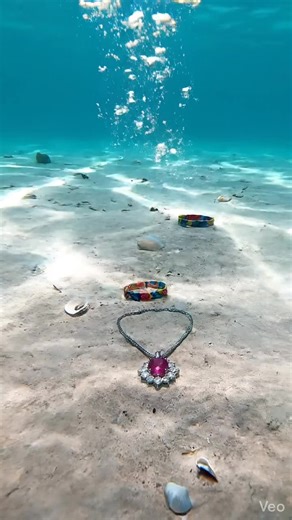 Diver Finds Lost Diamond Necklace Underwater