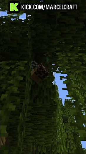 You Can Find Bee Nests in the Mangrove Swamp in Minecraft
