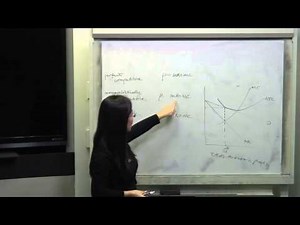 Chapter 8: lecture 2