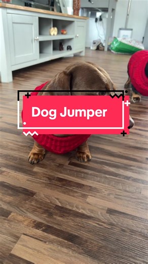 Winter Warm Pet Jumper - perfect for winter ❄️ #dog #sausagedog #blackfriday #dealdrops #tiktokmademebuyit