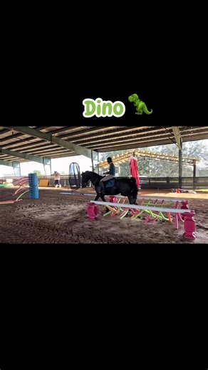 1.6K views · 16 shares | Dino = calm, seasoned, and FUN. Trail ✔️ Obstacles ✔️ Drive & Ride ✔️ Catch him now on ClassicHorseAuction.com! | Classic Horse Auction | Facebook