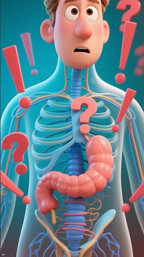 Why do we have an appendix