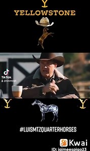 Caballos Campeones de Reining presentes en nuestra serie Favorita Yellowstone Custom Made Gun, Lil Joe Cash #LuisMtzQuarterHorses #RanchoElQuevedeño #CaballosAEG #laGeneticaNuncaMiente #Horses | Luis Mtz Quarter Horses