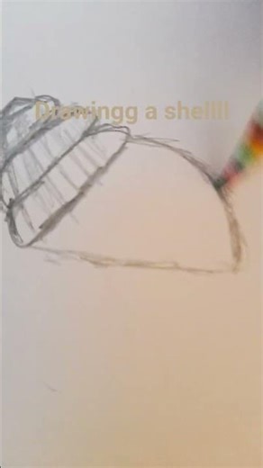 Drawing a shell#shell#drawing