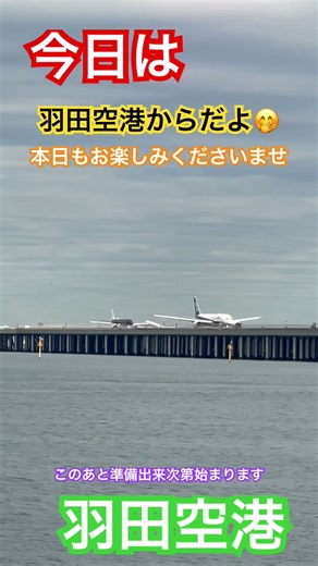 11/1 本日は羽田空港からだよ🤗成田空港に行っても会えませんので羽田空港に来てね😅🙏👍#shorts #羽田空港 #loveflightjack#特別塗装機