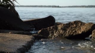 1K views · 16 reactions | One of our area’s most precious resources is the St. Johns River. We were happy to spend a few hours cleaning trash from the shoreline to keep our local fish, wildlife and water safe. We enjoyed participating in the 30th annual St. Johns River Celebration Cleanup hosted by the City of Jacksonville, Florida - Government. ♻️ | JEA | Facebook