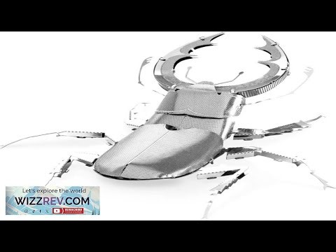 Metal Earth Fascinations Stag Beetle 3D Metal Model Kit