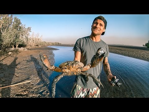 YBS Lifestyle Ep 1 - MONSTER MUDCRAB CATCH AND COOK | Sea Snake Encounter