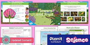 Science: Plants: Flowers and Fruit Year 3 Lesson 4