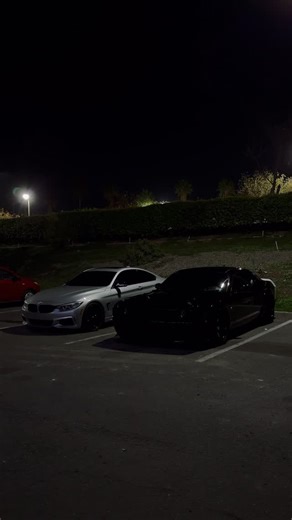 392 on Instagram: "🕷️x🦏 . . . . . . . . . . . . . . . . #mopar #dodge #challenger #392hemi #noir"