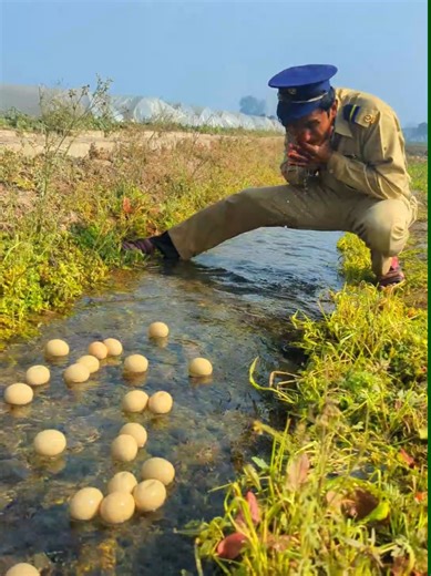 Funny Police Officer Egg Prank