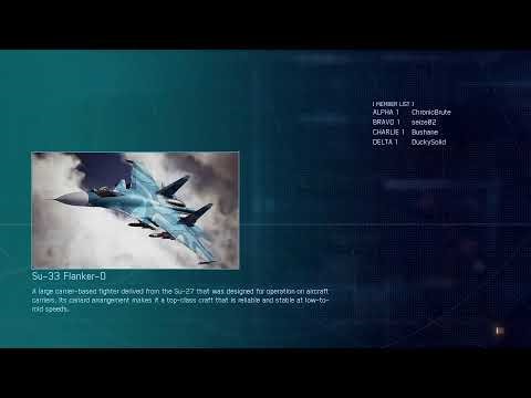 Ace Combat 7 Multiplayer PS4 keeps crashing.