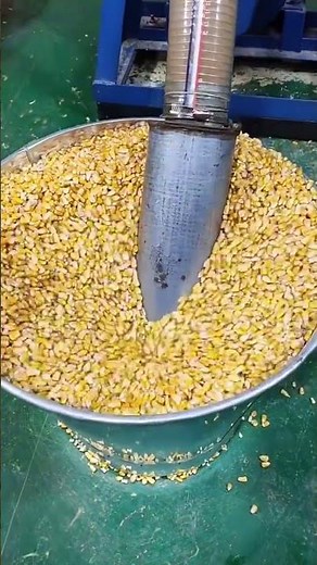 Maize flour milling corn grinding beans wheat crusher
