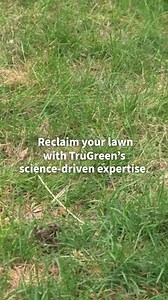 Get your lawn on the right path right away with a tailored lawn program based on climate, soil, weeds, insects, and more. | TruGreen