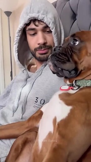 Kissing Your Dog: Fun Reactions You Won't Want to Miss