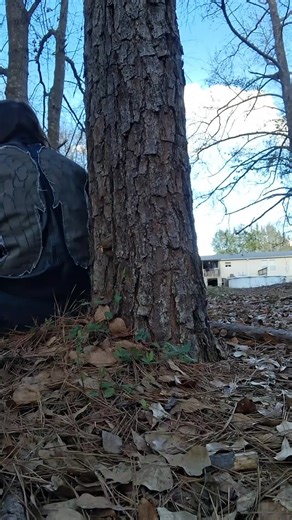 Daryl Dixon thinking about Beth (season 5) #thewalkingdead #daryldixon #bethgreene