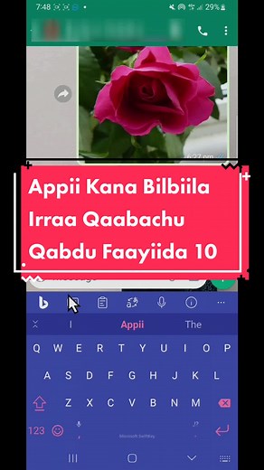 Appii Kana Bilbiila Irraa Qaabachu Qabdu - Download Abdul App