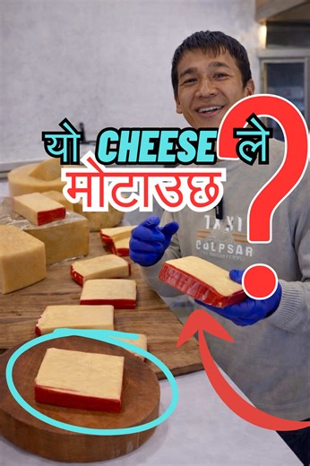 EDAM CHEESE तपाई मोटो/मोटी भाएर ... ? #edamcheese #bluecheese #briecheese #parmesancheese #cheddarcheese