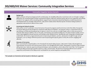 Bureau of Developmental Services, Service Options Webinar: Community Integration Services