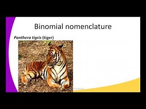 Form3 BIOLOGY Lesson1 Classification binomial nomenclature