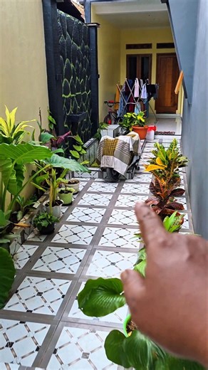 What's that covered by the pool? #trendingshorts #youtubeshorts