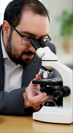 Banana Under a Microscope