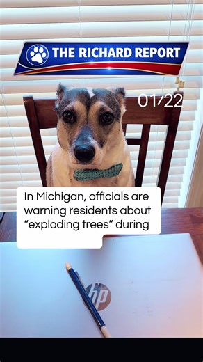 Exploding Trees in Michigan Due to Extreme Cold