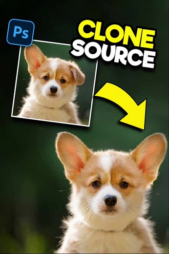 Clone Source in Photoshop Tutorial: How to Use Clone Stamp Tool